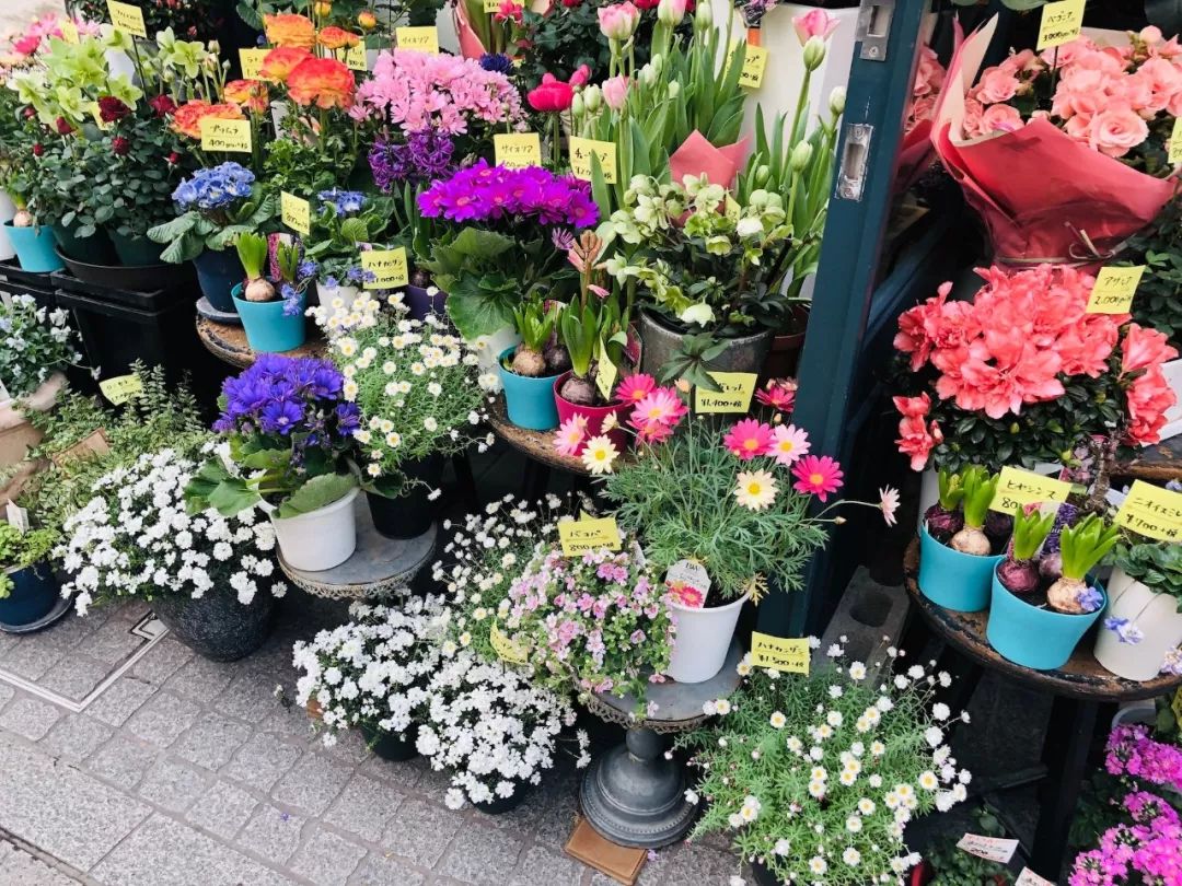 福冈的真实生活,福冈生活常识