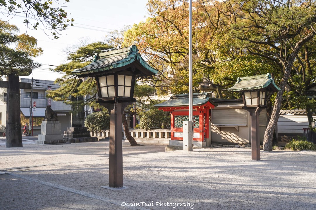 日本游轮游避坑,日本邮轮八天七夜具体行程