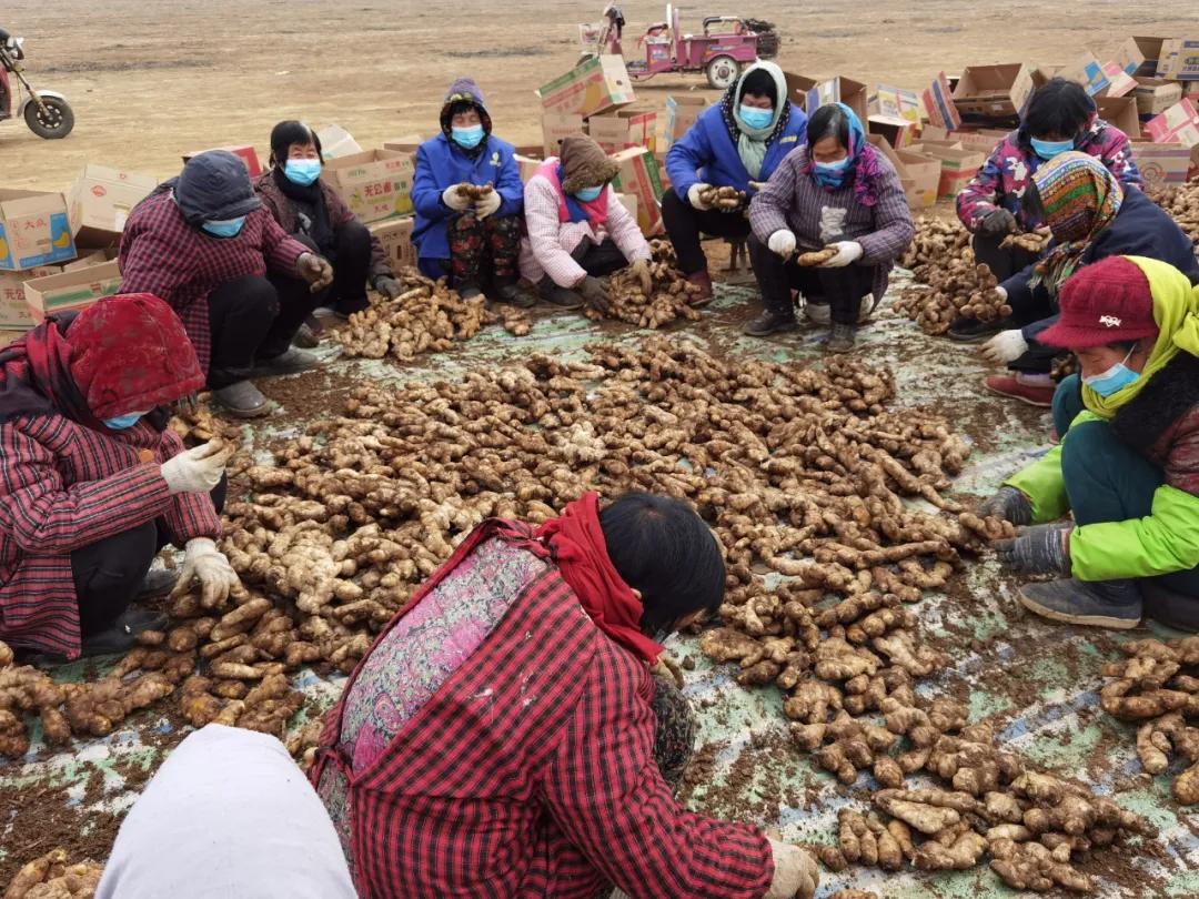 每亩净收益8万以上,每亩利润