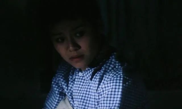 可惜没在中国上映的电影,李冰冰05年电影