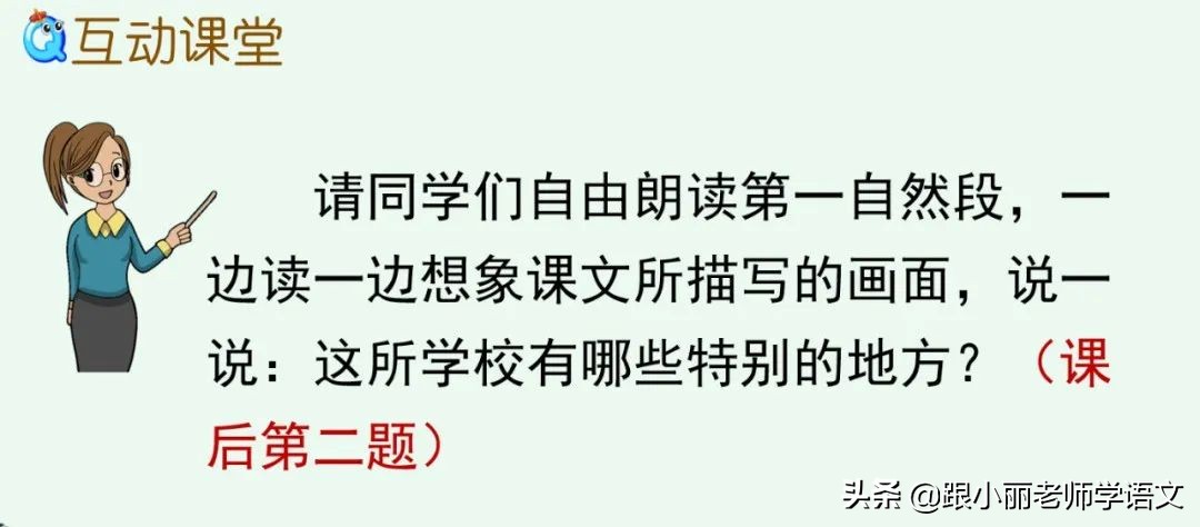 大青树下的小学重点知识点,大青树下的小学重点知识梳理