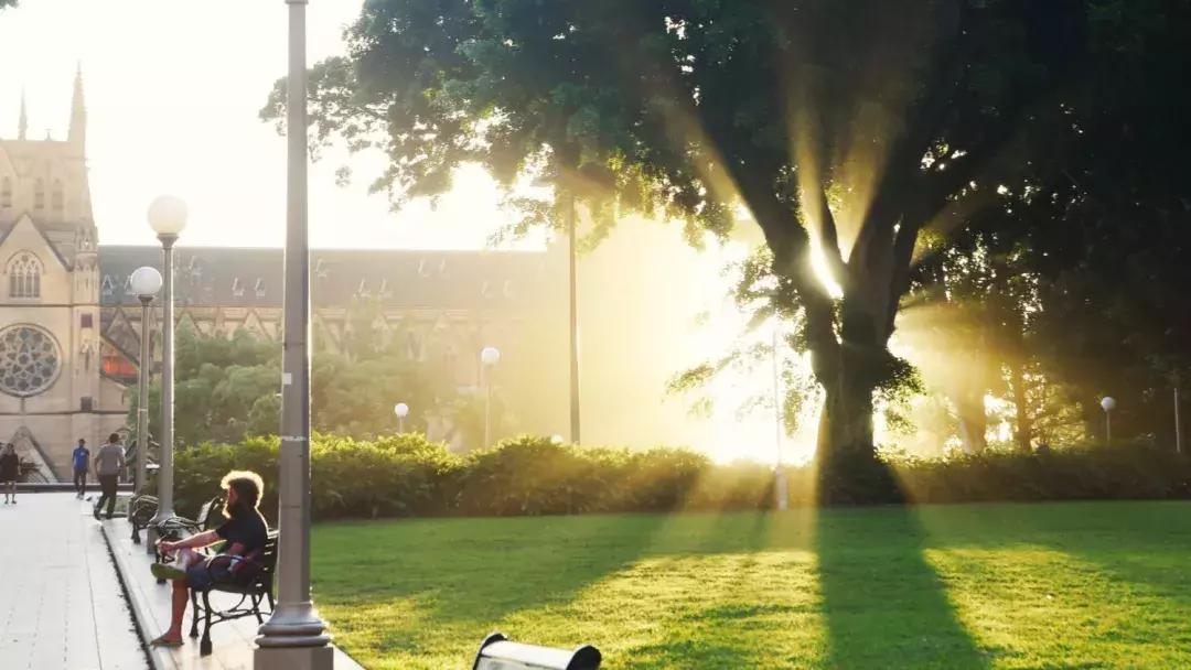 来这里认识世界全文,来这里认识世界完整版