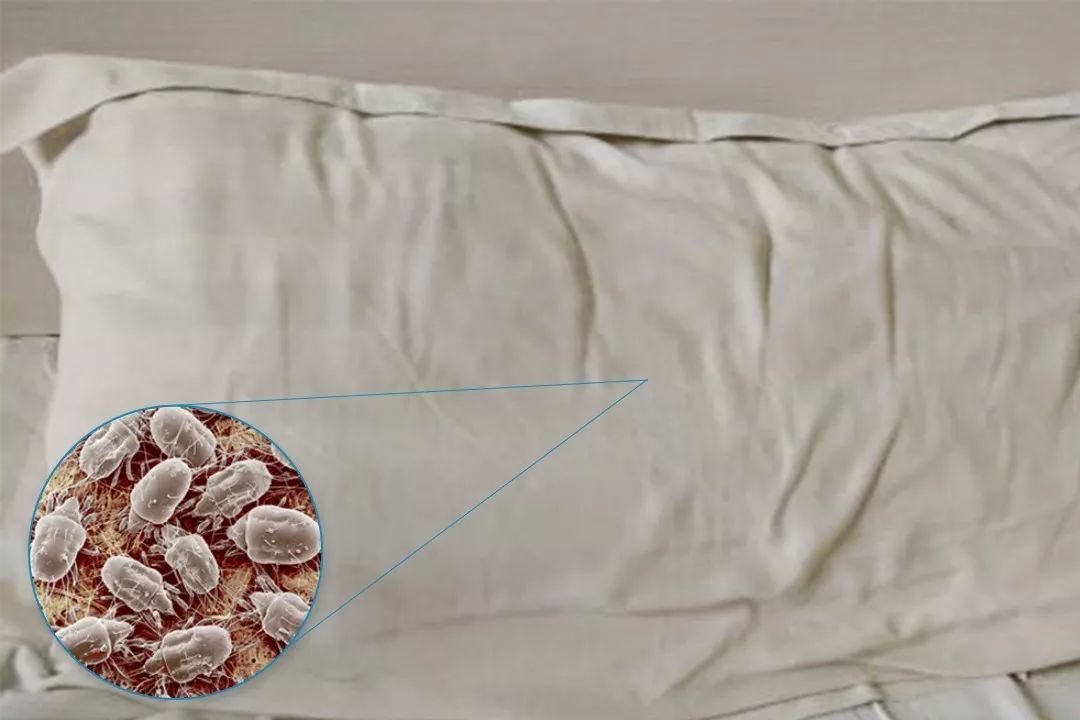 被子有异味家政阿姨教你去除方法,被子放久有异味怎么去除