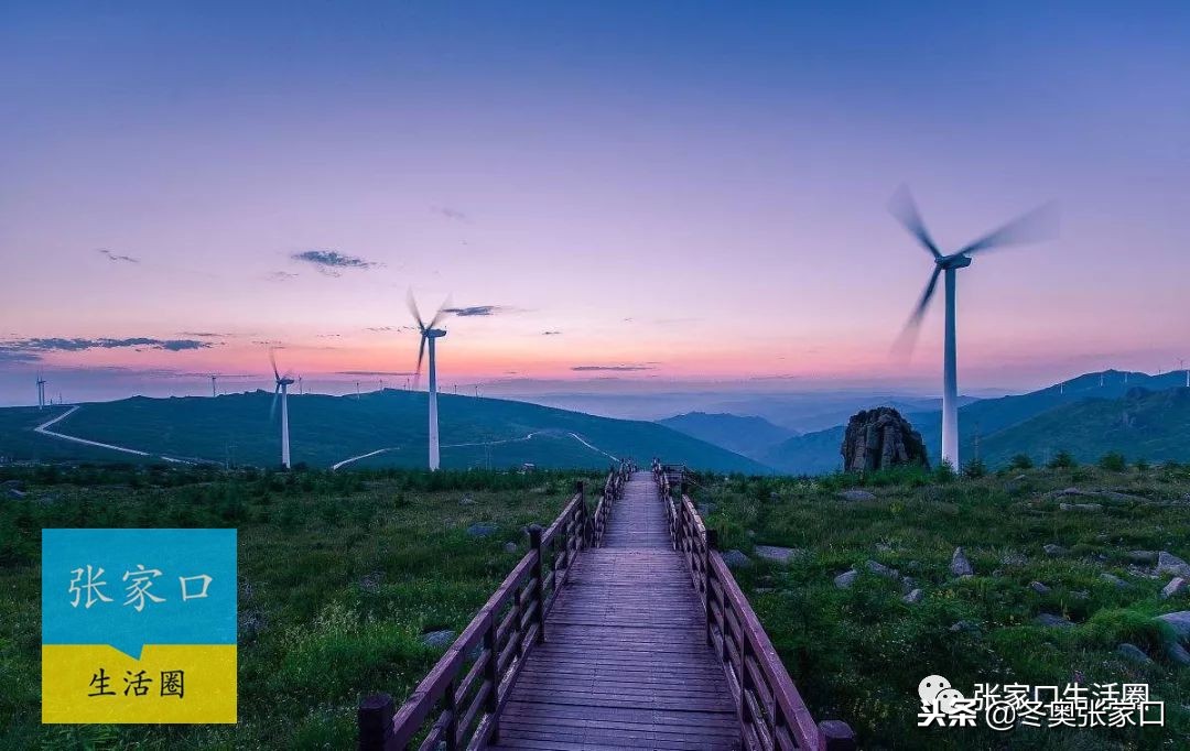 河北张家口今天的最新消息,今日张家口新消息