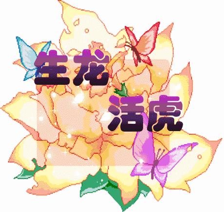 11月快乐我把祝福送给你高清图片,我把祝福送给你动态简谱