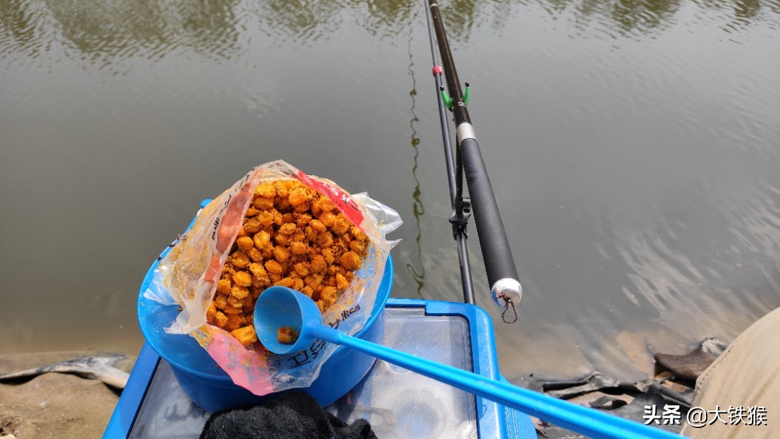 大师用玉米钓鱼怎样调漂,简单易学的钓鱼老玉米制作
