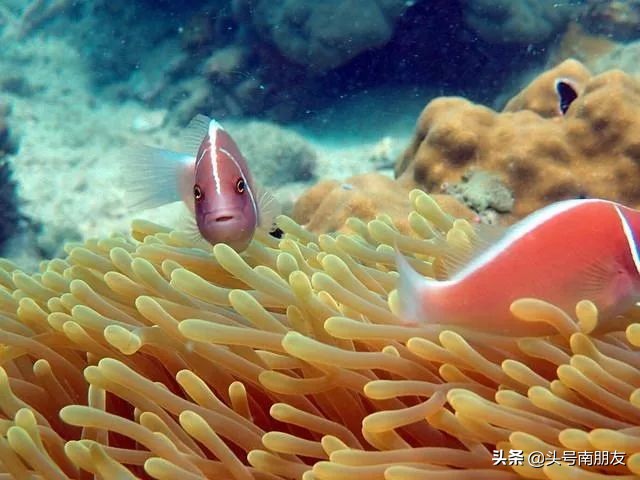 越南旅游的海岛,越南小众海岛