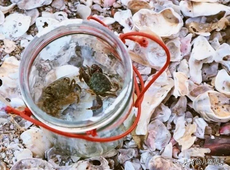 深圳十大免费景点路线,深圳10条绝美海岸线