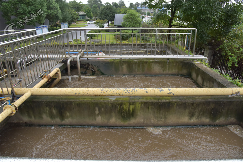 向更高质量发展迈进,向绿色转型要出路