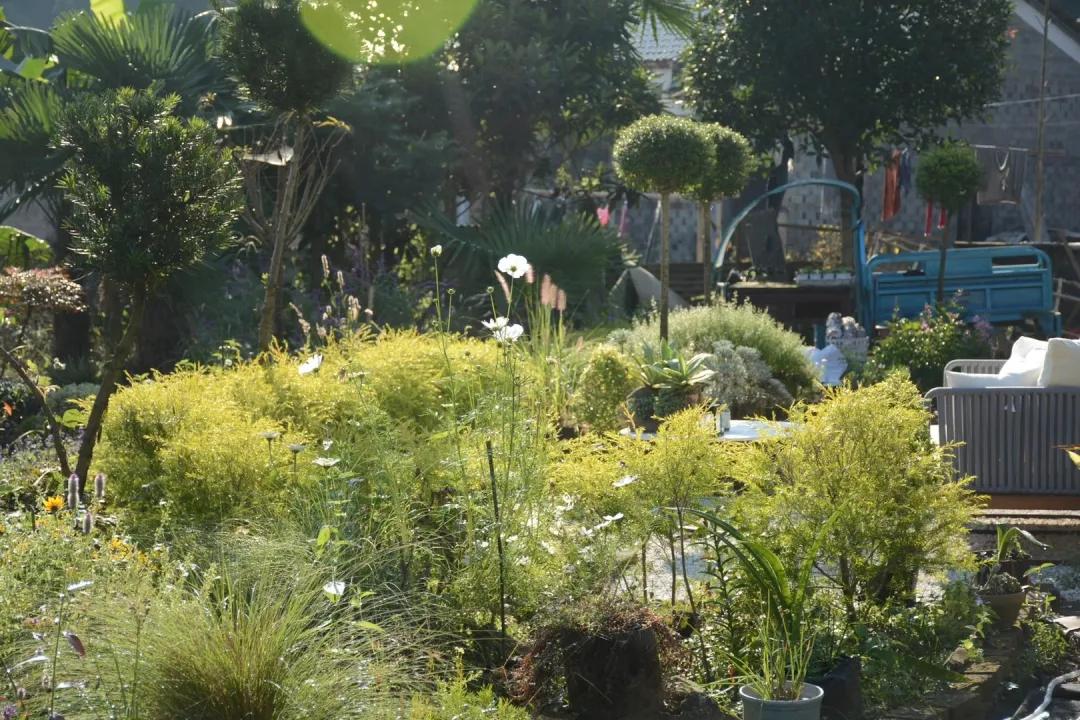 90后男孩住进郊区老屋，徒手打造400㎡自然花园，里面装满小精灵