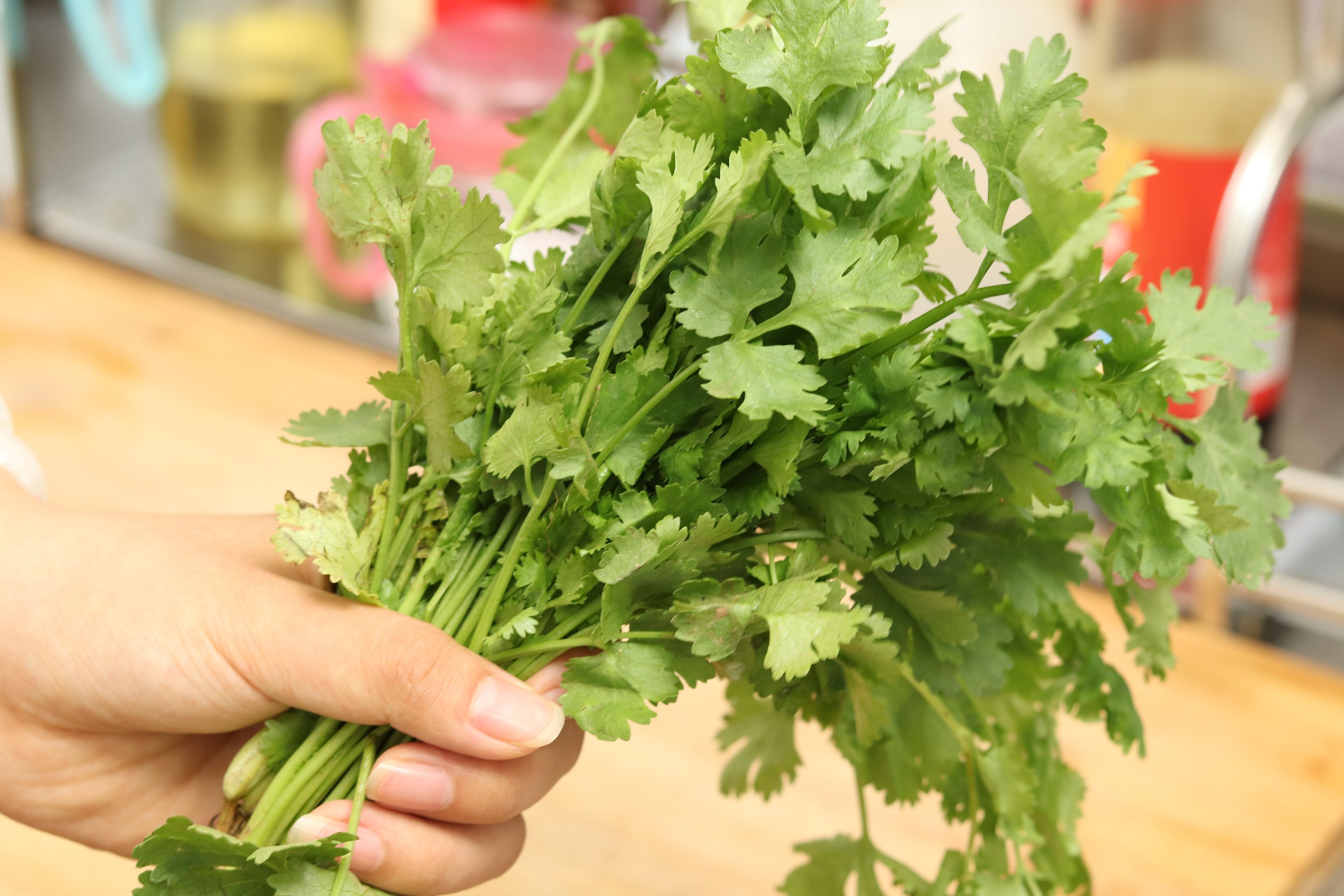 吃不完的香菜怎么保存,吃不完的香菜怎样再栽培