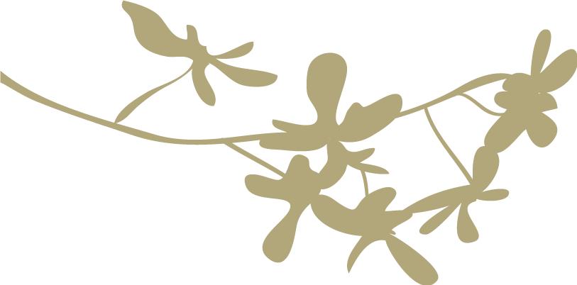 一玺国色，墨染东方！建发央玺为时代致献一座传世藏品