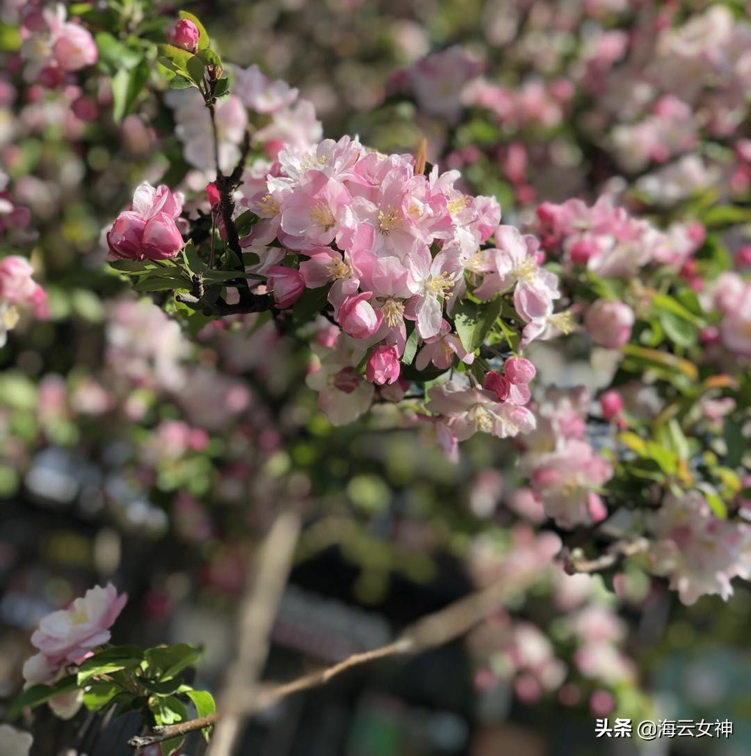 被教育之后豁然开朗,被教育是一种幸福