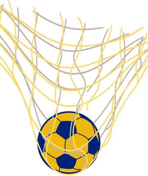 建阳曼山小学运动会,建阳区曼山小足球赛