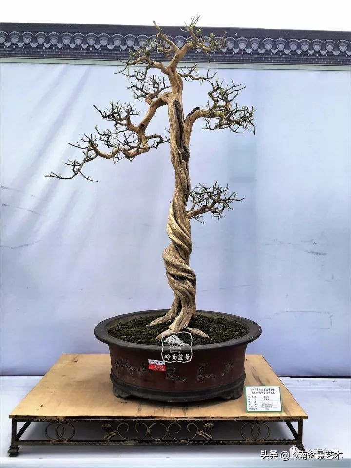 骞哥涔呬箙鐢滅敎铚滆湝,骞哥涔呬箙