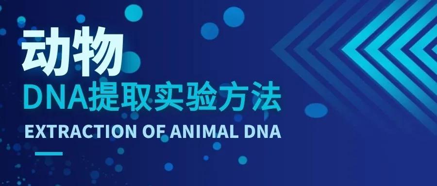 实验室动物dna提取方法,动物dna怎么检测