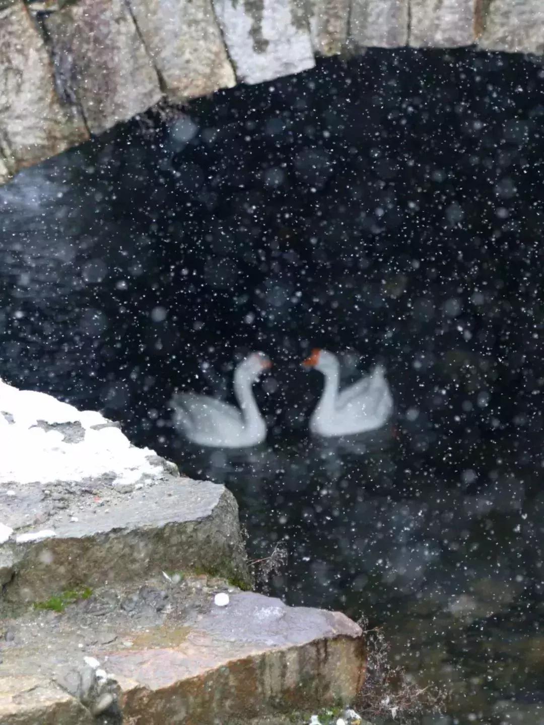 央视挖出来浙江冷门小城，小小鸭头都是世间绝味，人均100+住别墅