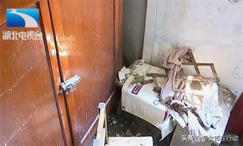 一场狂风骤雨,百年老树倒塌房屋被砸烂,我的房子该咋办?