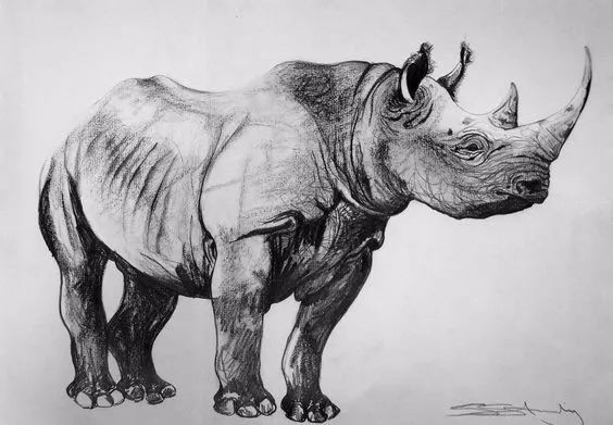 绱犳弿鍏ラ棬鍔ㄧ墿,绱犳弿鍔ㄧ墿瑙ｆ瀽