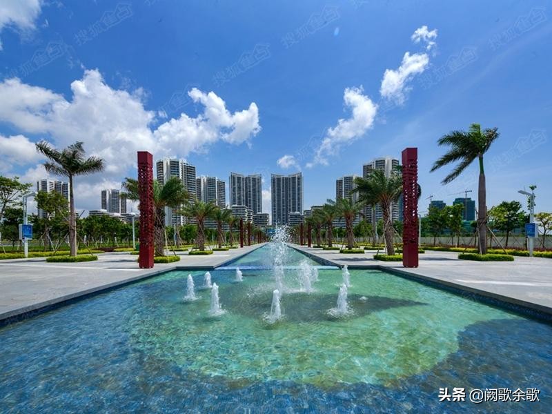 珠海公园森林风景,珠海公园美景视频