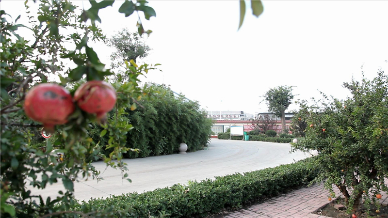 石家庄藁城区独门独院式厂房,石家庄藁城振华厂房