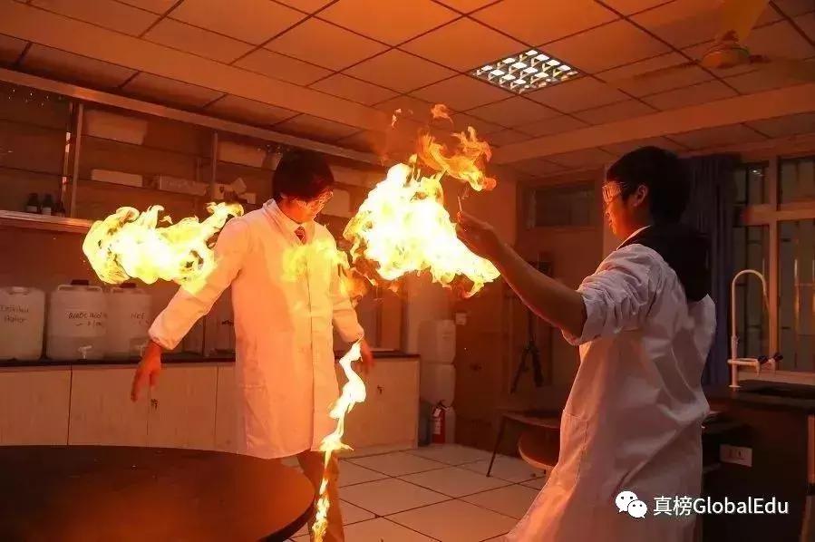 上海ib最强学校,上海七宝德怀特学霸