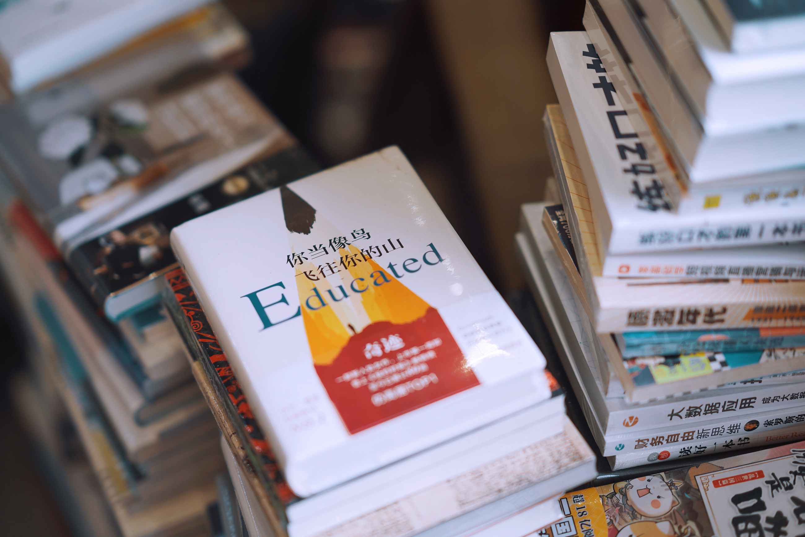 苏州特色民宿推荐,苏州最有特色民宿推荐