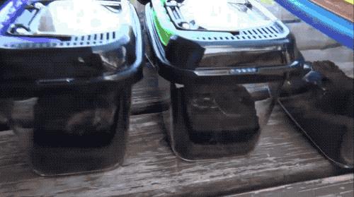 疫情期间12岁小学生做出颠覆常识的发现，以一作身份发了论文