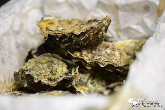 世界公认十大海鲜,全球顶级海鲜食材大赏