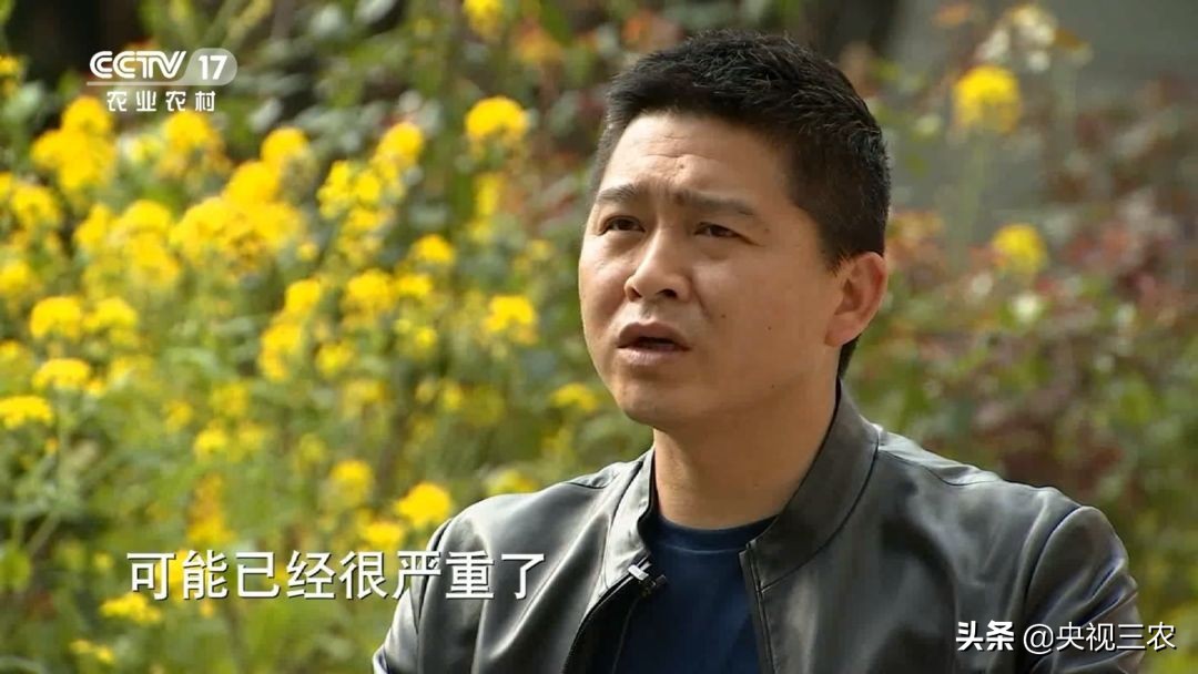 90后的湖北村支书,湖北最硬核村支书