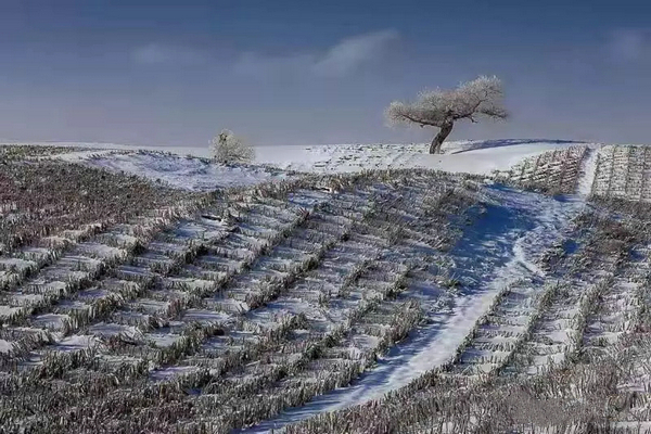 巴音布鲁克镇冬天的生活,巴音郭楞自治州和静县冬天