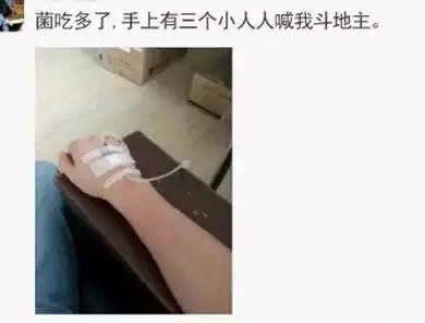 防食物中毒安全知识,吃菌的3个安全原则