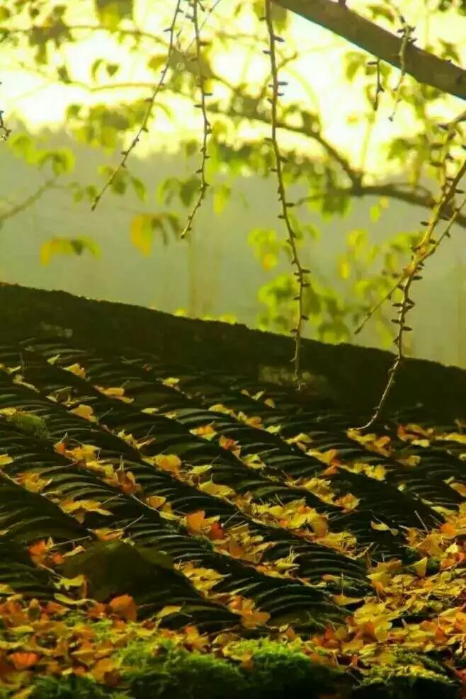 身为华夏子孙,百家姓的故事你不得不知