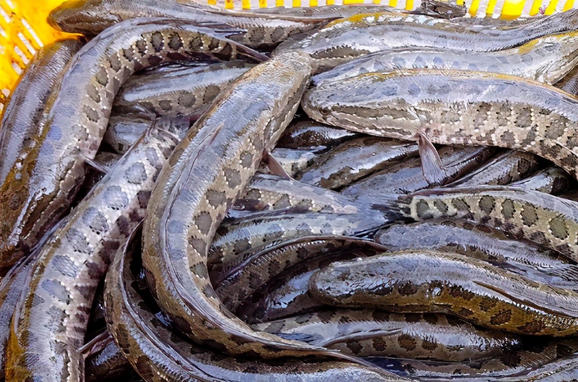 <html>
<head><title>502BadGateway</title></head>
<body>
<center><h1>502BadGateway</h1></center>
<hr><center>nginx</center>
</body>
</html>
<!--apaddingtodisableMSIEandChromefriendlyerrorpage-->
<!--apaddingtodisableMSIEandChromefriendlyerrorpage-->
<!--apaddingtodisableMSIEandChromefriendlyerrorpage-->
<!--apaddingtodisableMSIEandChromefriendlyerrorpage-->
<!--apaddingtodisableMSIEandChromefriendlyerrorpage-->
<!--apaddingtodisableMSIEandChromefriendlyerrorpage-->
