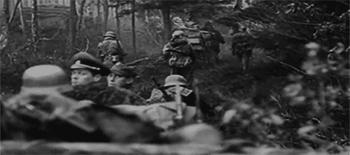 日本皇室的脚气病,脚气传到头上的症状