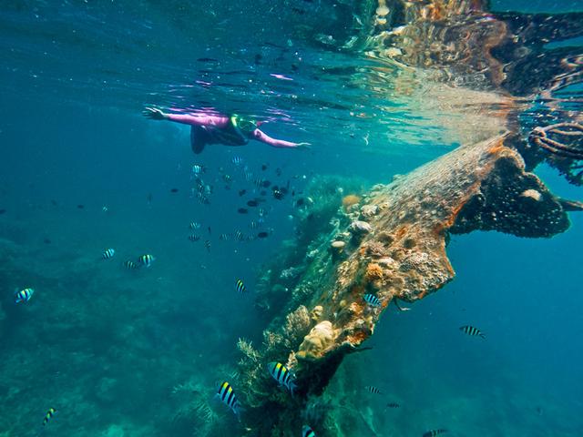 菲律宾游学宿务语言风俗,菲律宾马尼拉游学