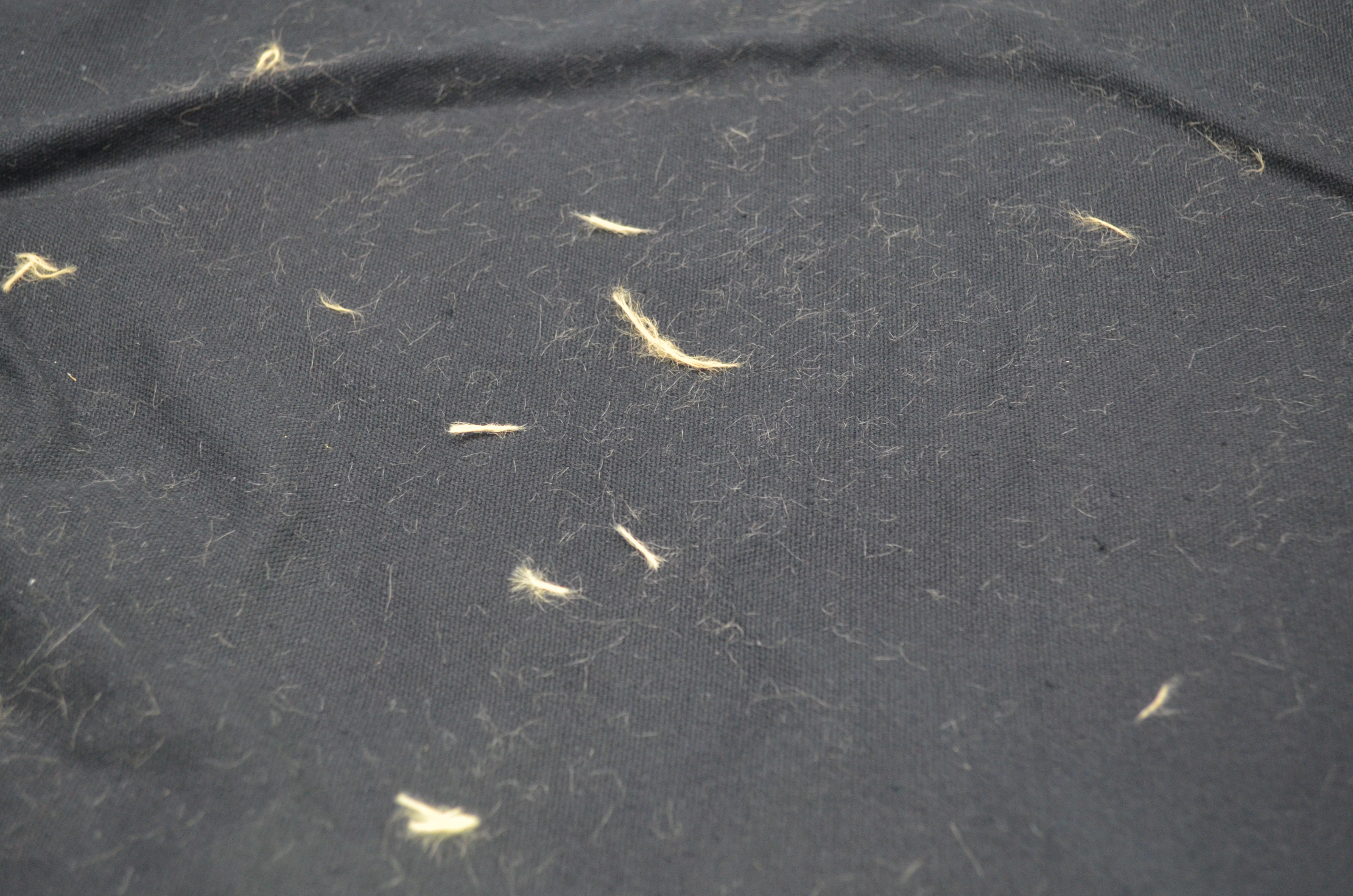 衣服上的毛絮怎么洗掉,衣服洗完好多毛毛如何去除