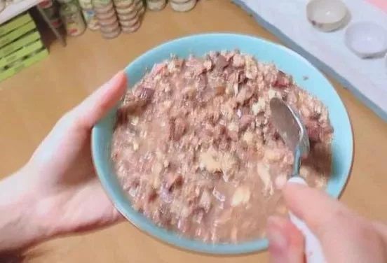 小佩猫窝事件,小佩闷死猫事件