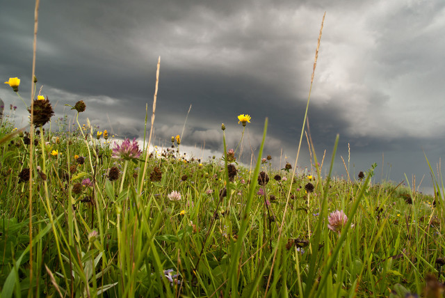 雷雨电闪雷鸣诗词,隐隐轻鸣启蛰雷