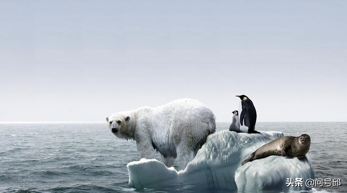 如果没有人类地球和动物会怎样,如果没有人类地球会失去平衡吗