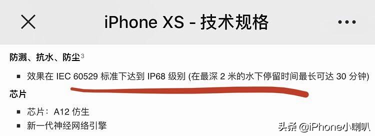 打脸？iPhoneXS掉浴缸竟然进水，律师：涉嫌虚假广告