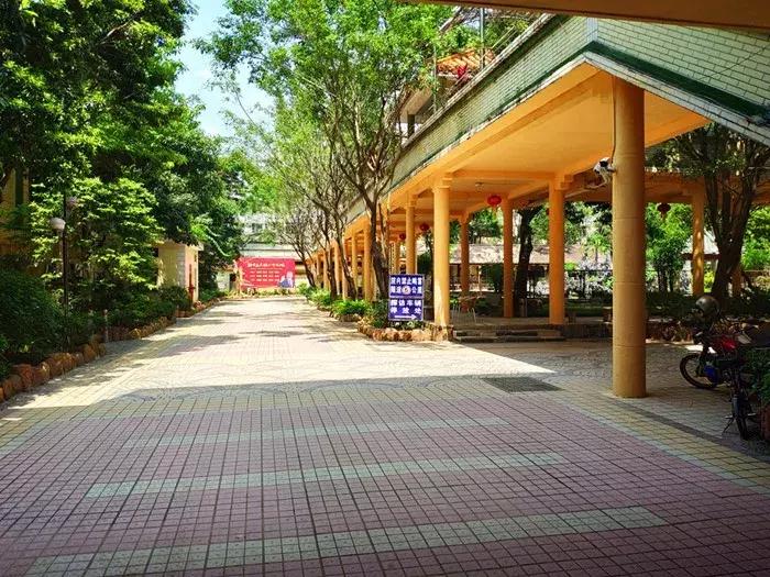 异地老人深圳养老,深圳70岁老人被骗60万