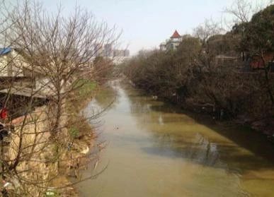 从臭水沟到打卡的经历,圭塘河臭水沟风光