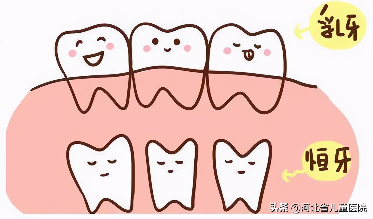 牙好真的很重要,牙齿好才是真的好