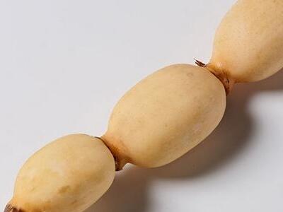 家庭水缸种莲藕有讲究吗,水缸种莲藕