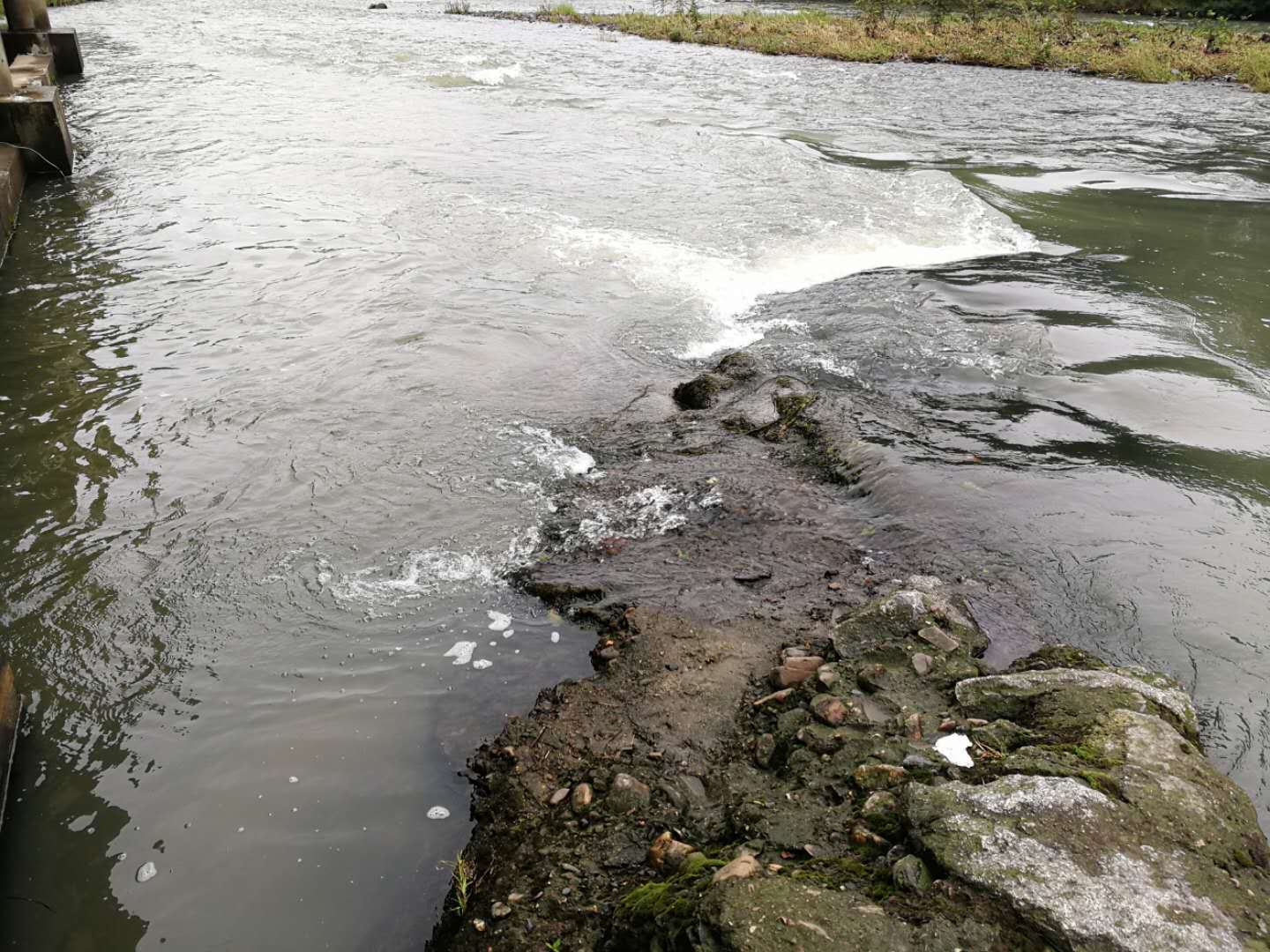 趴地虎怎么钓,趴地虎怎么钓路亚