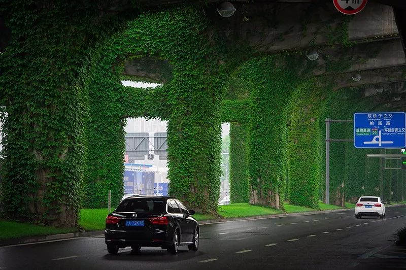 成都二环绿化,成都二环绿植视频