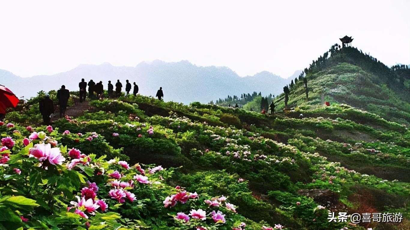 重庆垫江县有什么旅游景点,重庆垫江县旅游必去十大景点推荐