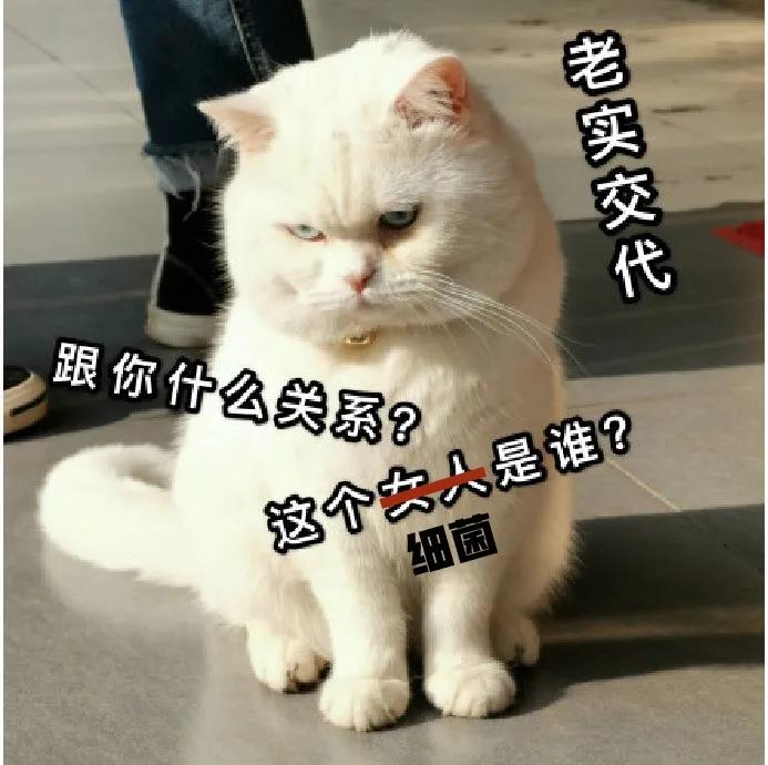 60岁阿姨被缝线针戳破膝盖,引发感染,住院治疗1个月