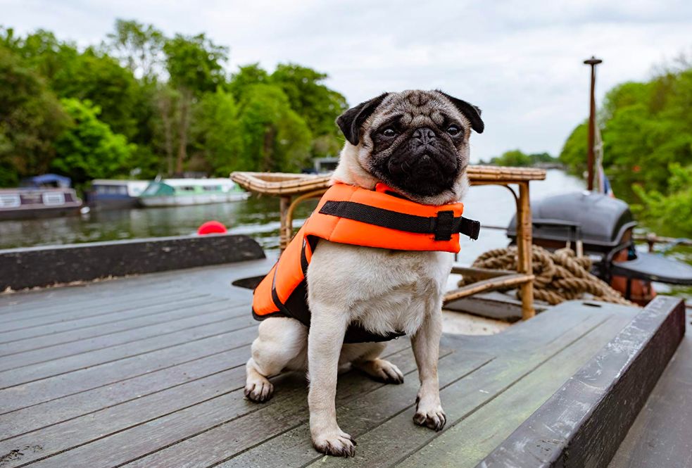 这周电影都看啥,这周即将播出的好看电影
